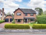 Thumbnail to rent in Court Meadow, Rotherfield, Crowborough, East Sussex
