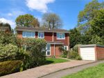 Thumbnail for sale in Copse Avenue, Farnham, Surrey