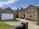 Thumbnail to rent in Westbury Road, Warminster