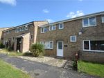 Thumbnail to rent in Yew Close, Witham
