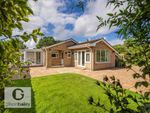 Thumbnail for sale in Cucumber Lane, Brundall