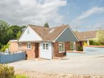Thumbnail to rent in Swaines Way, Heathfield, East Sussex