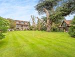 Thumbnail for sale in Five Acres, Funtington, Chichester, West Sussex