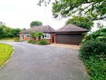 Thumbnail for sale in Old Heath Road, Southminster, Essex