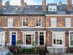 Thumbnail to rent in East Mount Road, The Mount, York
