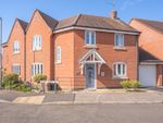 Thumbnail for sale in Wood Avens Way, Desborough, Kettering