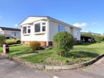 Thumbnail to rent in Lodgefield Park, Baswich, Stafford