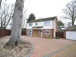 Thumbnail to rent in Alderbury Road, Stansted