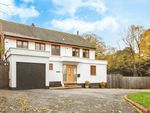 Thumbnail to rent in The Street, Gosfield, Halstead