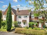 Thumbnail for sale in Poplar Way, Midhurst, West Sussex