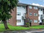 Thumbnail to rent in Rowan Close, St.Albans