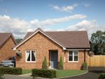 Thumbnail to rent in Magdalen Drive, Evesham