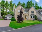Thumbnail for sale in Balgeddie Grove, Glenrothes