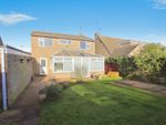 Thumbnail for sale in Camelia Close, Werrington Village, Peterborough