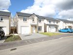 Thumbnail to rent in Rowallan Drive, Motherwell