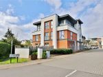 Thumbnail for sale in Acer Grove, Woking, Surrey