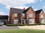 Thumbnail to rent in "The Birch" at Marshfoot Lane, Hailsham