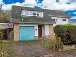 Thumbnail to rent in St Peters Road, Braintree, Essex