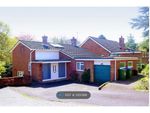 Thumbnail to rent in Woodview Close, Southampton