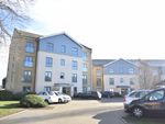 Thumbnail to rent in Circular Road East, Colchester