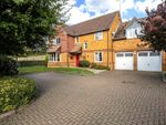 Thumbnail for sale in Mancroft Road, Aley Green, Bedfordshire