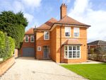 Thumbnail for sale in Ollards Grove, Loughton, Essex