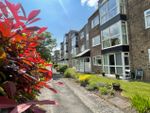 Thumbnail to rent in Daisyfield Court, Bury