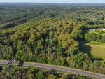 Thumbnail for sale in Conford, Liphook, Hampshire