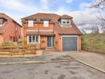 Thumbnail for sale in Hall Close, Cutthorpe, Chesterfield