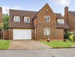 Thumbnail for sale in Lime Tree Court, Gloucester, Gloucestershire