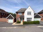Thumbnail for sale in Curlew Way, Dawlish