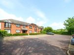 Thumbnail for sale in Brantwood Way, Orpington, Kent