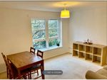 Thumbnail to rent in Rodney Place, Edinburgh