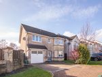 Thumbnail to rent in Birch Grove, Menstrie