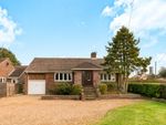 Thumbnail to rent in Medstead, Alton