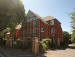 Thumbnail to rent in Polsham Park, Paignton