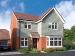 Thumbnail to rent in "Beecham" at Fontwell Avenue, Eastergate, Chichester