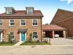 Thumbnail to rent in Sequoia Lane, Braishfield, Romsey, Hampshire