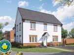 Thumbnail to rent in "The Spruce" at Morpeth Close, Orton Longueville, Peterborough