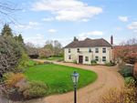 Thumbnail to rent in Chilcomb, Winchester, Hampshire