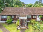 Thumbnail for sale in Littleton Lane, Guildford, Surrey