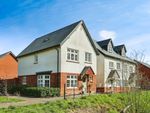 Thumbnail to rent in Newlands Avenue, Waterlooville, Hampshire