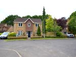 Thumbnail to rent in Albion Way, Verwood
