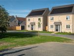 Thumbnail to rent in Woodlands Chase, Witchford, Ely, Cambridgeshire