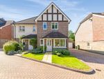 Thumbnail for sale in Birch Close, Banstead