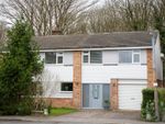 Thumbnail to rent in Woodland Way, Gosfield, Halstead