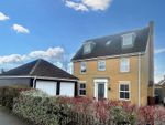 Thumbnail to rent in Frenesi Crescent, Bury St. Edmunds