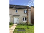 Thumbnail to rent in Charpentier Avenue, Loanhead