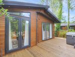 Thumbnail for sale in Lake View, Brokerswood Holiday Park, Brokerswood