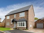 Thumbnail to rent in "Wilson" at Heron Drive, Fulwood, Preston